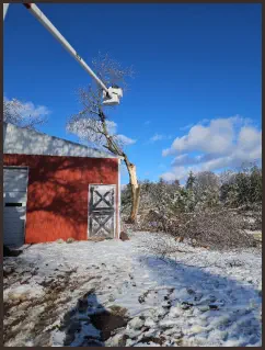 North Bound Tree Service - Matt Barnes, owner and Family