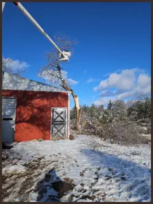 North Bound Tree Service - Matt Barnes, owner and Family