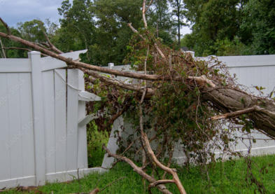 hazardous tree, storm damaged trees, Upper Peninsula, Michigan, arborist, remove tree stumps, tree expert