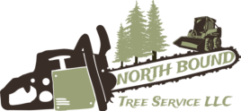 North Bound Tree Service - Iron County, MI, hazardous tree, storm damaged trees, Upper Peninsula, Michigan, arborist, remove tree stumps, tree expert