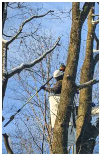 Iron County MI Bucket Truck Services