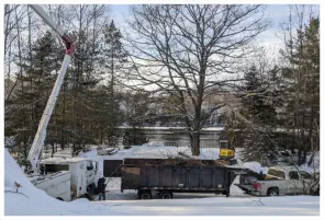 Company to repair Tree Damaged by Storm Isphmening MI