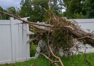 Crandon tree removal company Rhinelander Wisconsin