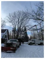 professional tree trimming Gaastra MI