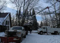arborist tree expert Northern Wisconsin