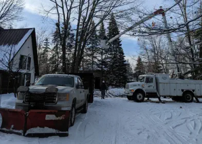 arborist tree expert Northern Wisconsin