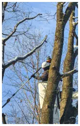 Iron County MI Bucket Truck Services